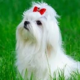 11131117kr's profile picture. 日本のPOLICEを少し見直しました💪
日々目にしたもの、好きなもの、行動をrandomにツイートする垢
恋愛bot.ひっそり真実語る垢
ダーリンは蠍座A型
笑顔がすき　あなたを守るから💖