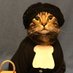 Harriett Tubman's Cat (@letgoletgod2323) Twitter profile photo Harriett Tubman's Cat (@letgoletgod2323) Twitter profile photo