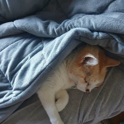 Space Cowboy Kaboose Profile