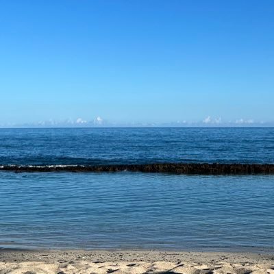 carolynesserman's profile picture. 