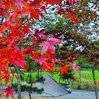 釣りとキャンプと車が大好きのおじさん。
お気軽に無言フォローして下さい。 自分もしますので😊よろしくお願いします。