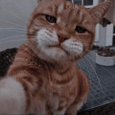 Kelvinz97751130's profile picture. Single and still searching …