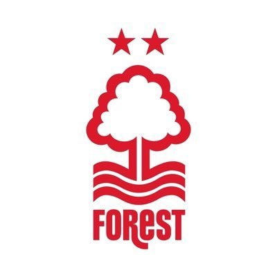 nffc_Ar Profile Picture