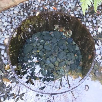 CjzGvPenokpkKaM's profile picture. 来年の就活に向け資格、オープンバッジも取りに行く