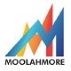 MoolahMore is an accounting application that collects real-time cash flow transaction data to aid in analysis, management, and projection.