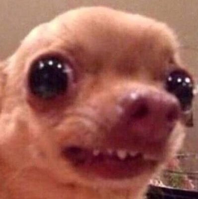 YGxOAekUvb1sOzy's profile picture. 