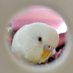 ã ãã (@inkobanzai) Twitter profile photo ã ãã (@inkobanzai) Twitter profile photo