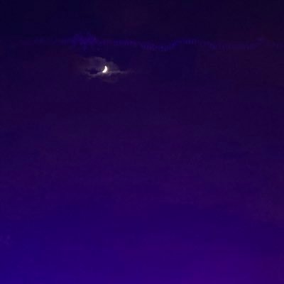 natinweb's profile picture. exTwitter