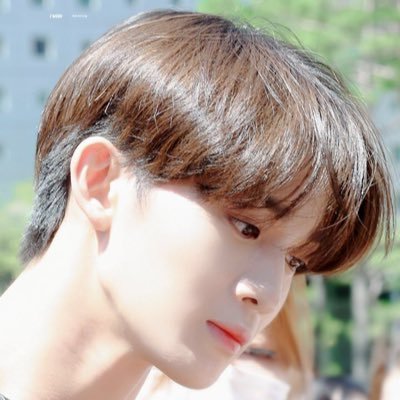 baemeab's profile picture. 우리 서로 기댈곳이 되어주자 #배진영