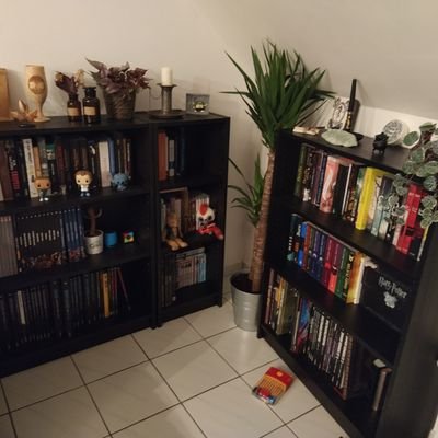 licorneenbiblio's profile picture. Bibliothécaire ~ Féministe et un peu sorcière (on va pas se mentir, les 2 font souvent la paire 😜)