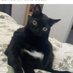 Miau (@marramamiauuuu) Twitter profile photo Miau (@marramamiauuuu) Twitter profile photo