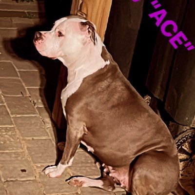 Ciroc_Saunders's profile picture. just live life.