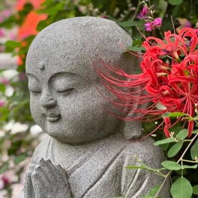 うろうろするのが大好き｜京都の四季を愛する人🍁｜生きがいはカフェ・グルメ巡り、写真撮影｜ユーモアで人生を楽しむ🕺🏻