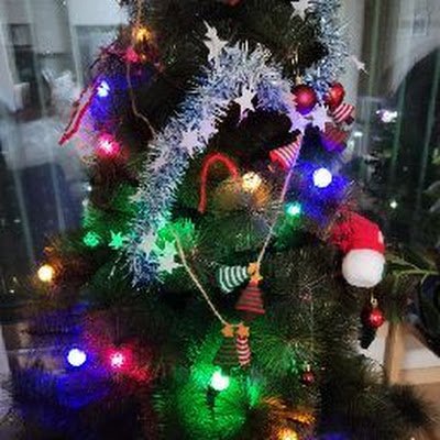 ibomul3's profile picture. 