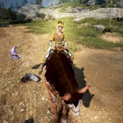 黒い砂漠で馬主をしています。