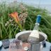 Bunnyconnellan Cork (@bunnyconnellan) Twitter profile photo Bunnyconnellan Cork (@bunnyconnellan) Twitter profile photo