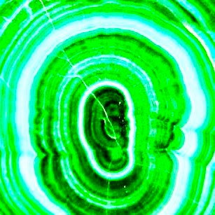 hiiko0512's profile picture. 𒑘 何かしなくちゃ。何かをしなくちゃ。