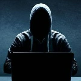 h_mcwild's profile picture. 読み方は「はまち」です