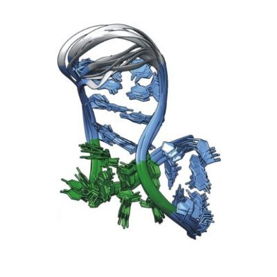 Integrative Structural Biology at the University of Birmingham