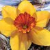 Aporta Games (@aportagames) Twitter profile photo Aporta Games (@aportagames) Twitter profile photo