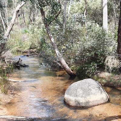 Lorenzo73855063's profile picture. Spirituality and science meet where the heart and mind are in balance. 🌎 truther. 
Music is magic. We are not alone. 👽🛸. Vamos 🇦🇷 para 2022!