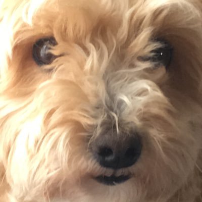 おちおさんのプロフィール画像