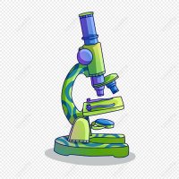 Xelcrak C-137🩺🔬🧬🦠🧠 (@xel_science) 's Twitter Profile