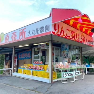 りんご園とギター工房をやっています。長野県の南側、松川町のりんご.梨園です。中央道松川ICを降りて1分ほどです。りんご園は8月下旬から☎︎0265-36-3093 FAX0265-36-4922 ギター工房OGI FACTORYも併設