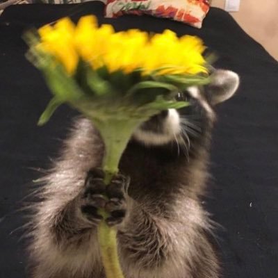 leridadari's profile picture. 아파