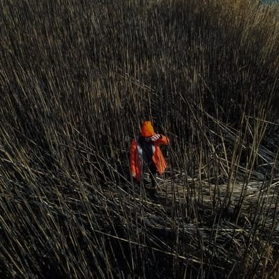 Elataroo's profile picture. یا راهی خواهم ساخت یا ساخی راهم خواهت