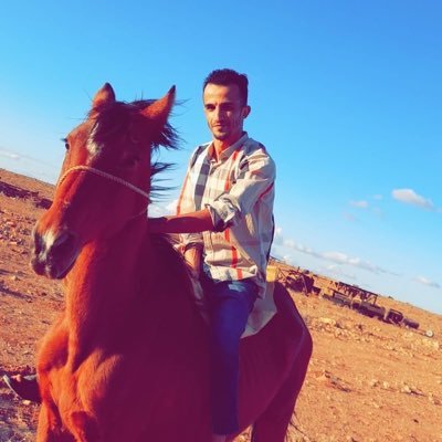 Tarekothman90's profile picture. 