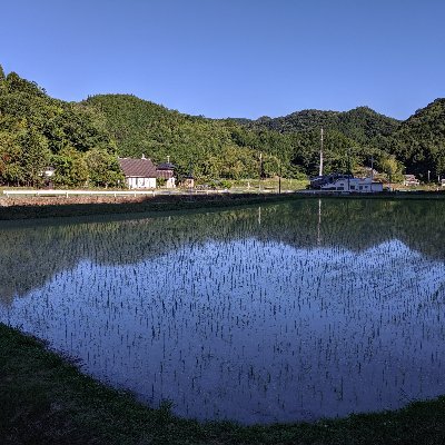 化学や素材のよろず相談所です。
実験室もございます。
有機・無機を問わず、化学製品全般におけるコンサルティング、基礎実験、少量試作、小ロット品の製造、小分けなどの細かい作業に加えて、各種記事、プレゼン資料、宣伝広告などの作成代行も手掛けております。
何でもお気軽にご相談いただければ幸いに存じます。