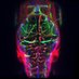 Herzog Lab (@labherzog) Twitter profile photo Herzog Lab (@labherzog) Twitter profile photo