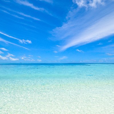 nebige10's profile picture. 