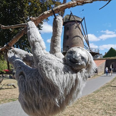 MaMiapia's profile picture. Bin neu hier und schaue mich erstmal um.