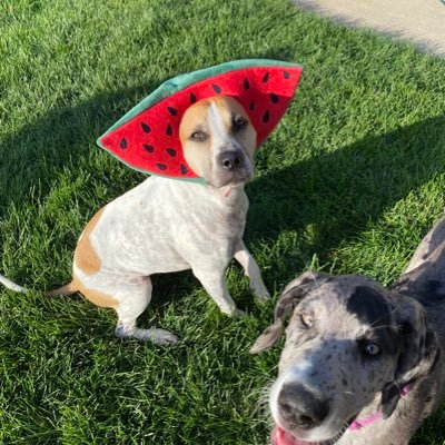 RK_Chase's profile picture. ll