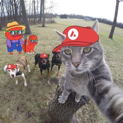 A cat is gonna take control of everything 🐈
MEME LORD
Love, peace, and money ✌🏻
An #Avalanche is coming for us🔺