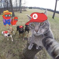 The cool-trippy cat (@vicgastritis) Twitter profile photo