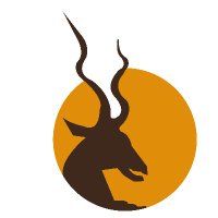 Travel To Bunyoro (@traveltobunyoro) 's Twitter Profile