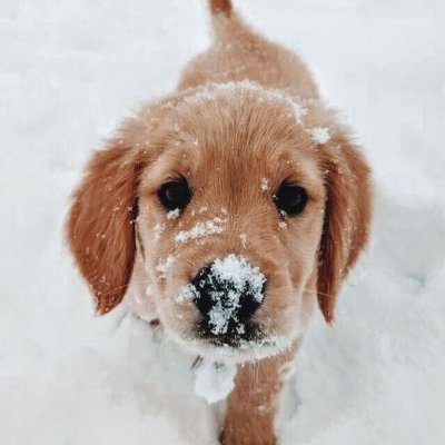 beegarci86's profile picture. 