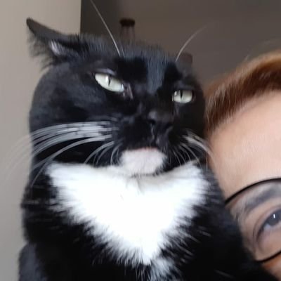 Uma pá de coisa juntas que não fazem sentindo estarem juntas