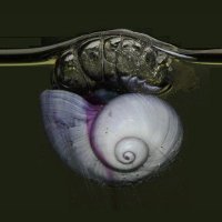 bpoplectic (@bpoplectic) 's Twitter Profile Photo bpoplectic (@bpoplectic) 's Twitter Profile Photo