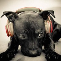 ful (@fulfulmo) Twitter profile photo