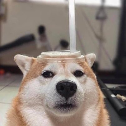 imGodzillaurJP's profile picture. пиратская копия человека.