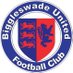 Biggleswade United Reserves (@BUFC_Reserves) Twitter profile photo