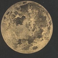 to the MOON 🌙 CLUB (@tothemoonclub) 's Twitter Profile Photo to the MOON 🌙 CLUB (@tothemoonclub) 's Twitter Profile Photo