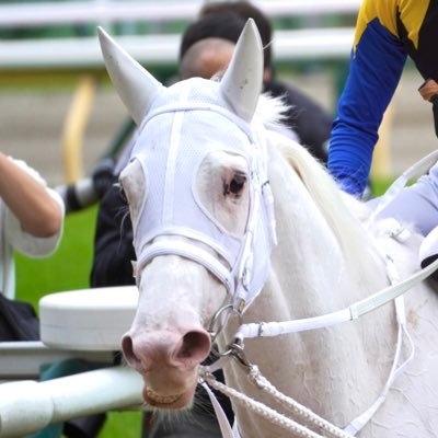 ソダシ一生推し⚪️競馬と宝石と旅行✈️ヘッダーは🇷🇺ニコリスカヤ通り🌌シルクで一口馬主2023年デビュー🔰ドゥラメンテのラストクロップ、エネルジコに出資🐎