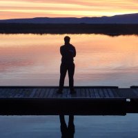 Alistair Robb (@aligrobb) 's Twitter Profile