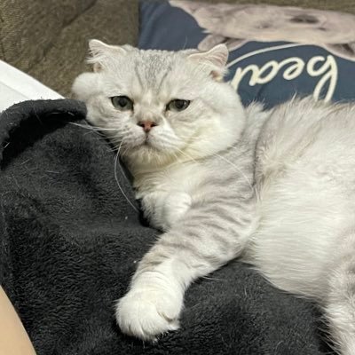 kazuya_a6avant's profile picture. レンジローバーヴェラールyamagata⇒fukushima ムタさん溺愛してます。