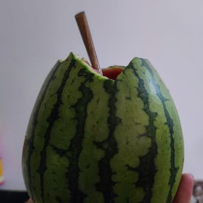 _rainbowatcher's profile picture. 打工人/喜欢折腾/vue/ts/rust/go/java/数据处理